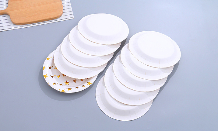 Golden Star Round Paper Plate(9 Inches)(10 Count)