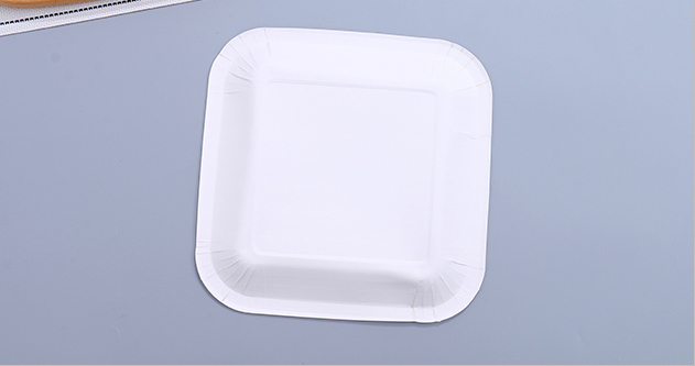 Silver Stripes Square Paper Plate(9 Inches)(10 Count)