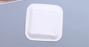 Silver Stripes Square Paper Plate(9 Inches)(10 Count)