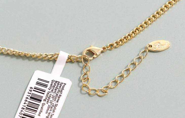 Stylish Tassel Necklace