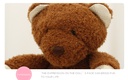 Small-Sized Lovely Bear Plush Toy