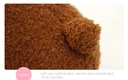 Small-Sized Lovely Bear Plush Toy