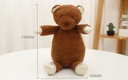 Small-Sized Lovely Bear Plush Toy