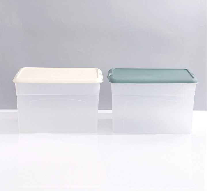 Large Dull Polish Plastic Storage Bin