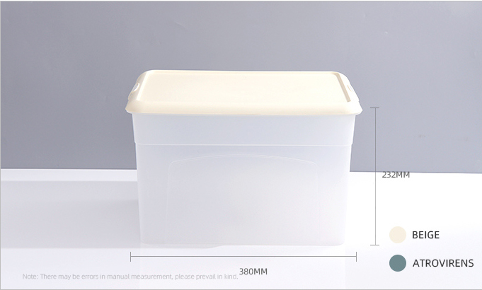 Large Dull Polish Plastic Storage Bin