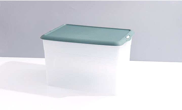 Large Dull Polish Plastic Storage Bin