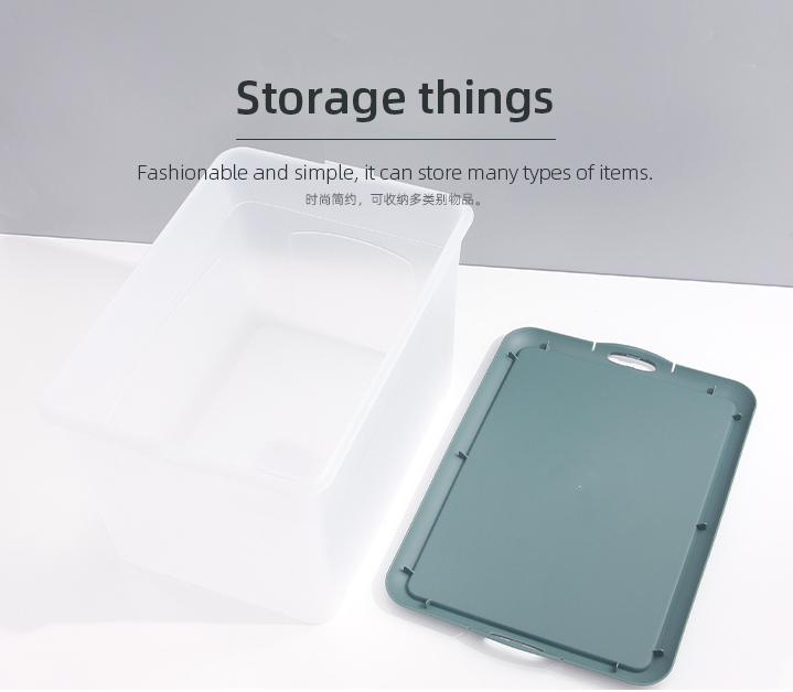 Large Dull Polish Plastic Storage Bin