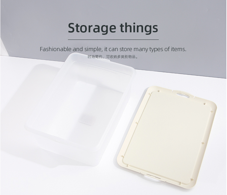 Medium Dull Polish Plastic Storage Bin
