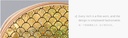 Fish Scales Look Shell Coin Purse(Gold)
