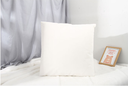 Watermelon Hot Stamping Throw Pillow