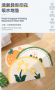 Fresh Irregular Printing Absorbent Floor Mat