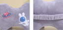Planetary Bunny Pillow