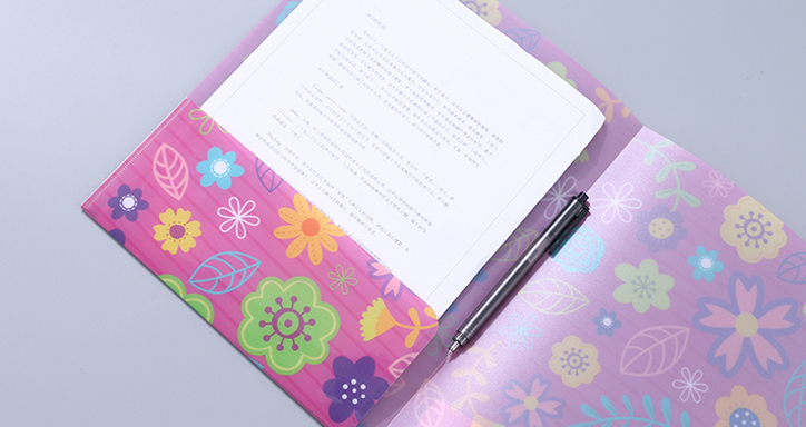 Letter Size File Folder with Single Pocket (Rose Red)