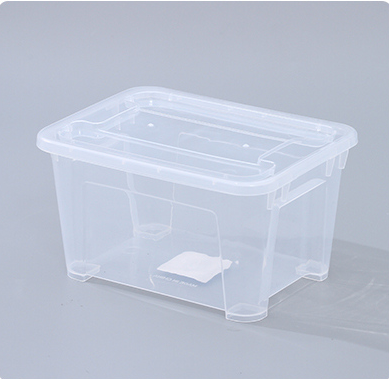 Clear Plastic Storage Box with Lid – Small