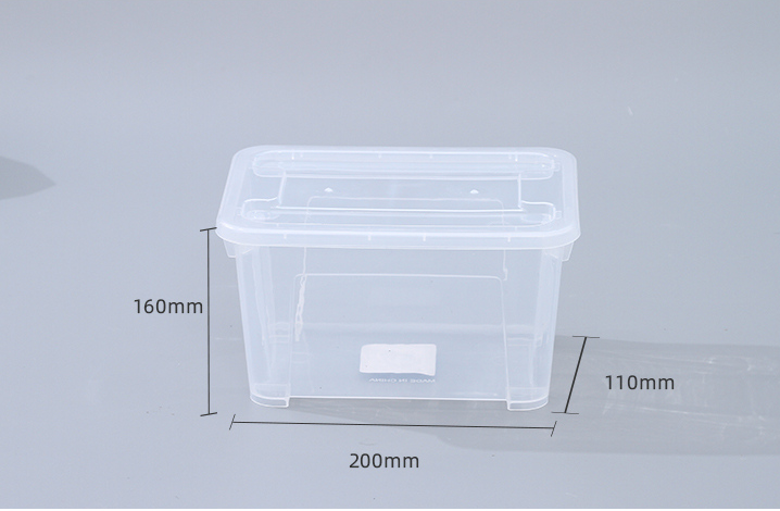Clear Plastic Storage Box with Lid – Small