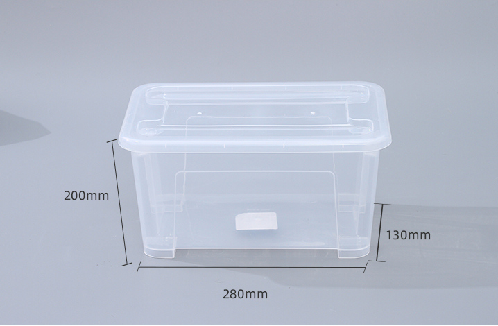Clear Plastic Storage Box with Lid – Large
