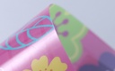 Letter Size File Folder with Single Pocket (Rose Red)