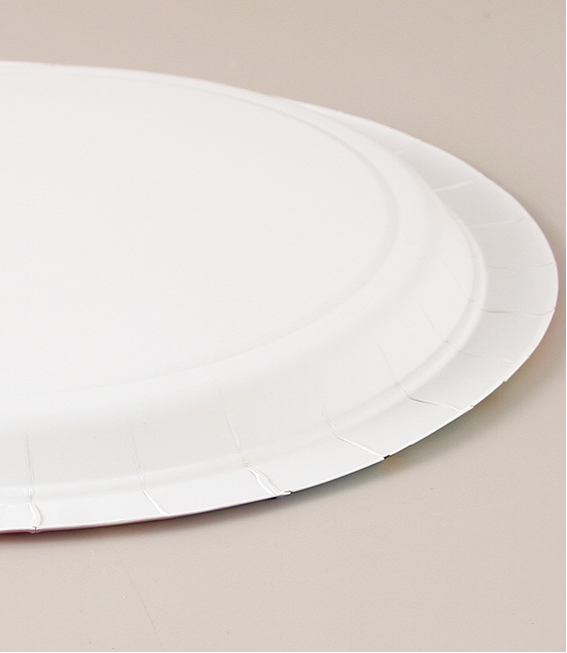 Brilliant Rainbow Dots Circular Paper Plate(6 Count)