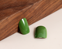 Little Dinosaur Series Fake Nail 24PCS A150