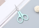 Pointed Plastic Handle Manicure Scissors