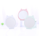 Mirror with Iron Backing Plate (T31)