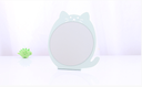 Mirror with Iron Backing Plate (T31)