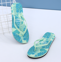 Summer Ladies Flip-Flops 