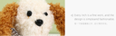 Fluffy Bow Dog Decoration