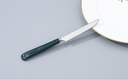 430 Stainless Steel Dinner Knife with Ceramic Handle