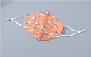 Dinosaur  Print Cloth Mask for Children（Orange)