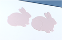 Cute Bunny Heat Insulated Pad-2 Count