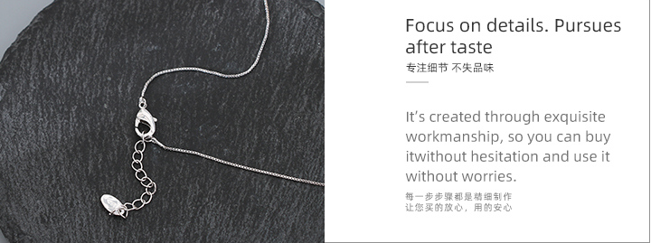 Delicate Key Collarbone Chain