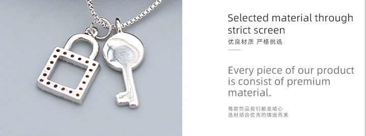 Delicate Key Collarbone Chain
