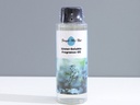 Water-Soluble Fragrance Oil (60ml/2.0fl.oz.) (Forget-Me-Not)