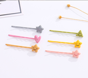 Expression Pentastar Hair Clips（3 Count）