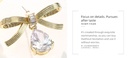 Simple Bow Zircon Earrings