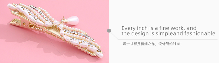 Wing Hair Clip