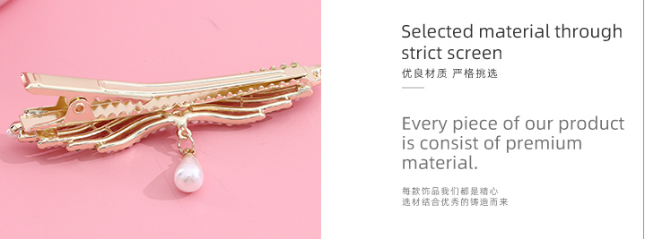 Wing Hair Clip