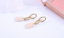 Stylish Elegant Pendant Earrings