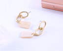 Stylish Elegant Pendant Earrings