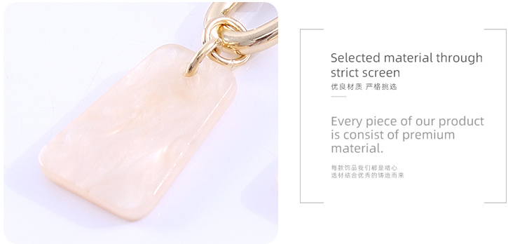 Stylish Elegant Pendant Earrings