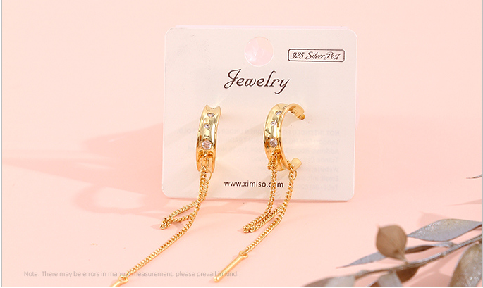925 Silver Needle Circle Tassel Earrings