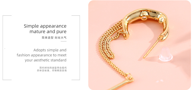925 Silver Needle Circle Tassel Earrings