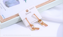 925 Silver Needle Acrylic Chain Long Earrings