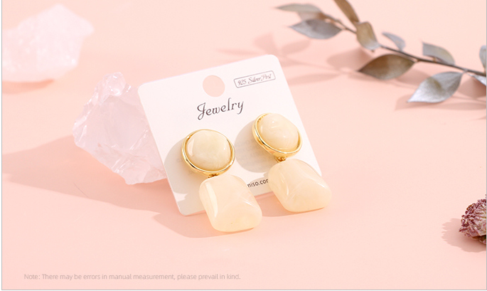 925 Silver Needle Geometric Resin Earrings