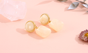 925 Silver Needle Geometric Resin Earrings