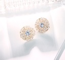 Exquisite Crystal Round Earrings