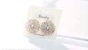 Exquisite Crystal Round Earrings