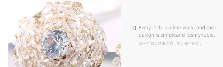 Exquisite Crystal Round Earrings