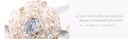 Exquisite Crystal Round Earrings